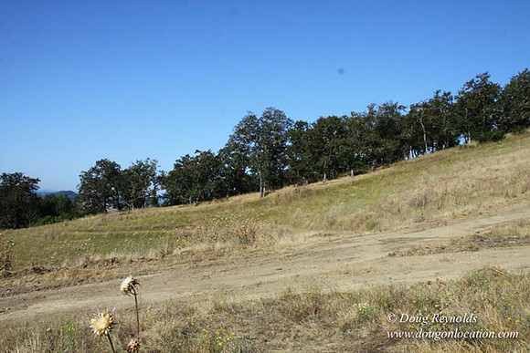Ranch 14 Oregon