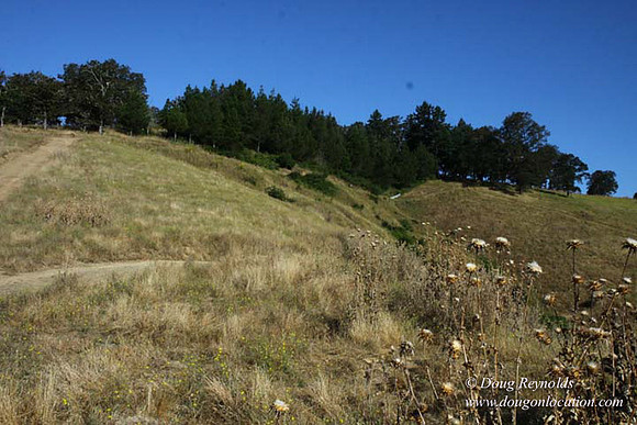 Ranch 14 Oregon