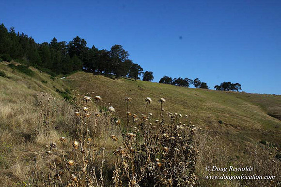 Ranch 14 Oregon