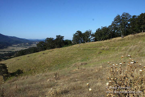 Ranch 14 Oregon