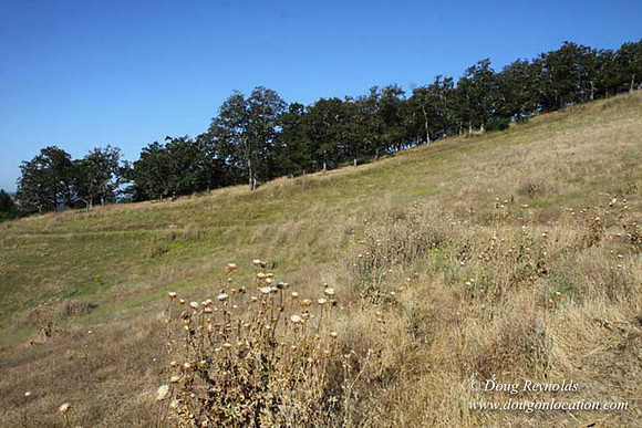 Ranch 14 Oregon