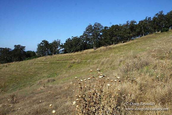Ranch 14 Oregon