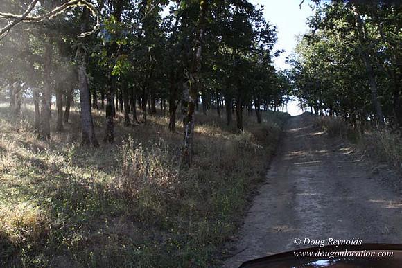 Ranch 14 Oregon