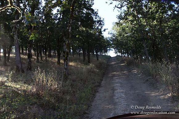Ranch 14 Oregon