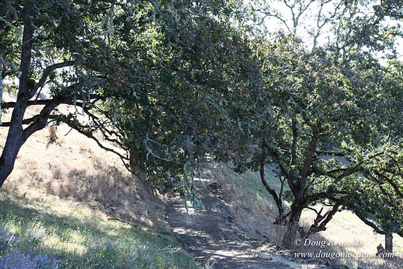 Ranch 14 Oregon