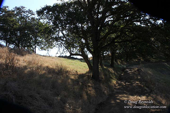 Ranch 14 Oregon