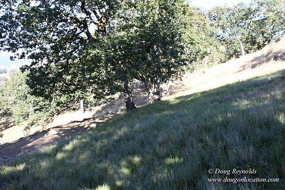 Ranch 14 Oregon