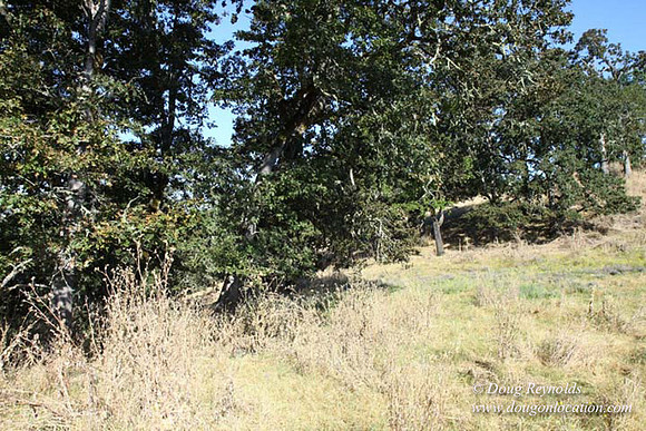 Ranch 14 Oregon