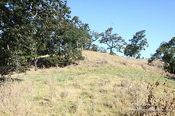 Ranch 14 Oregon