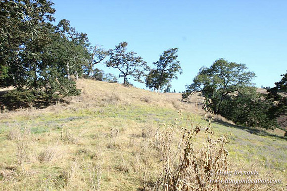Ranch 14 Oregon