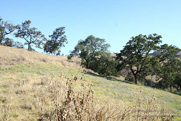 Ranch 14 Oregon