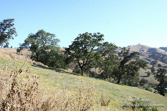 Ranch 14 Oregon