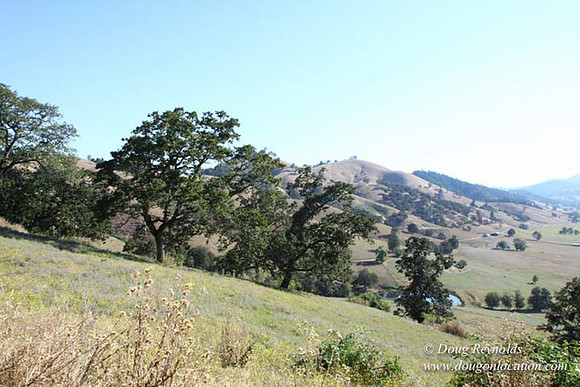 Ranch 14 Oregon