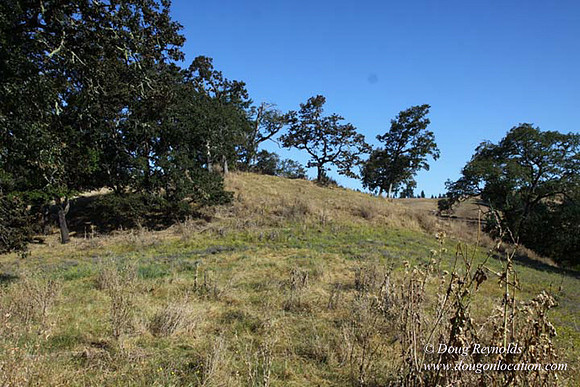 Ranch 14 Oregon