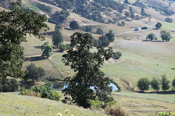 Ranch 14 Oregon