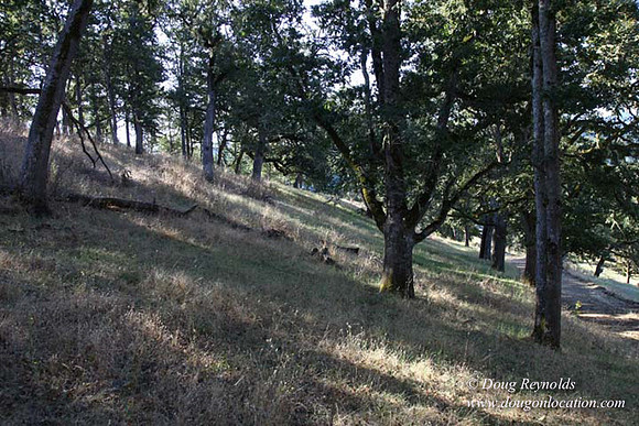 Ranch 14 Oregon