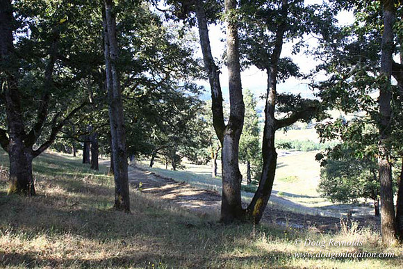 Ranch 14 Oregon
