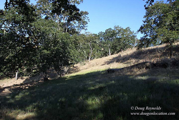 Ranch 14 Oregon