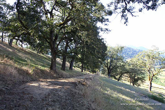 Ranch 14 Oregon