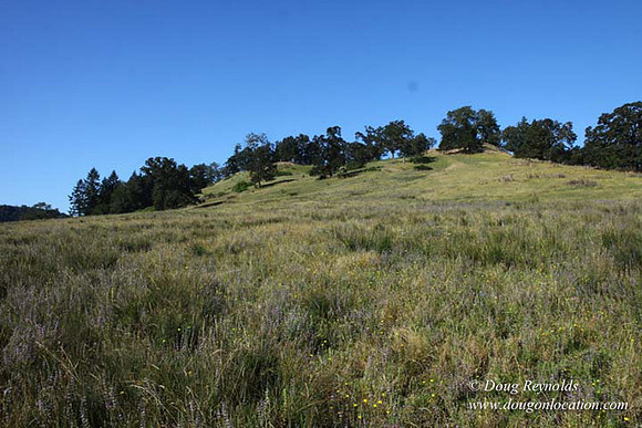 Ranch 14 Oregon