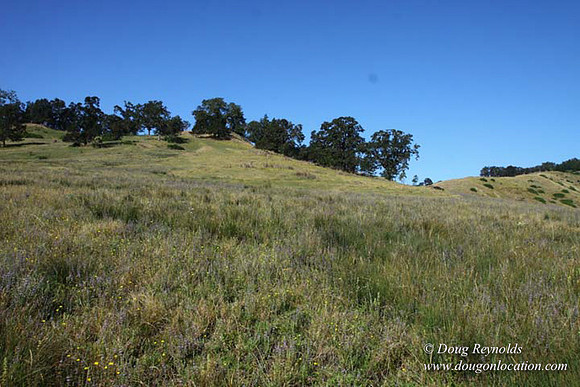 Ranch 14 Oregon