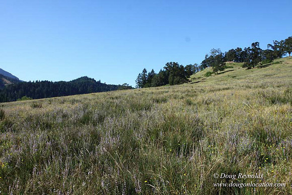Ranch 14 Oregon