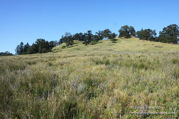 Ranch 14 Oregon