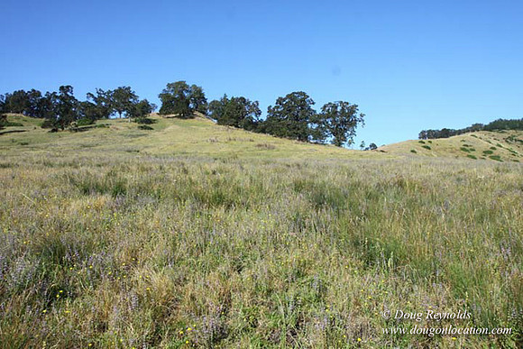 Ranch 14 Oregon
