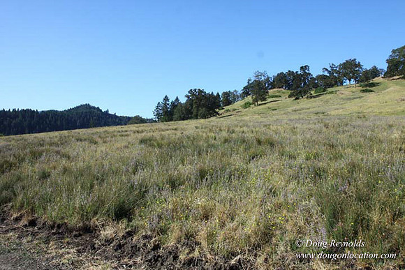 Ranch 14 Oregon