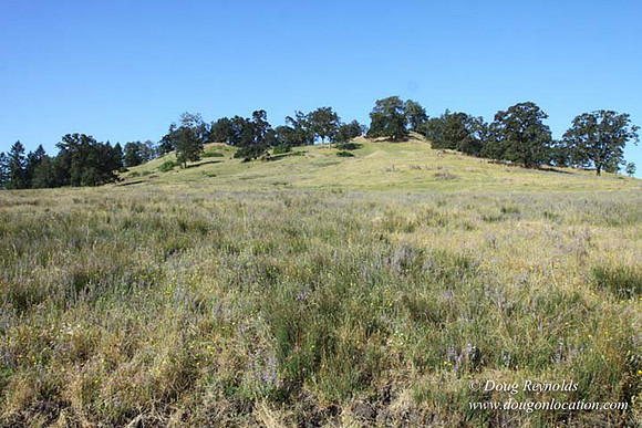 Ranch 14 Oregon