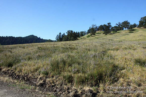 Ranch 14 Oregon