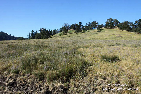 Ranch 14 Oregon
