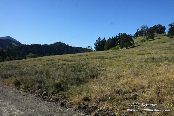 Ranch 14 Oregon