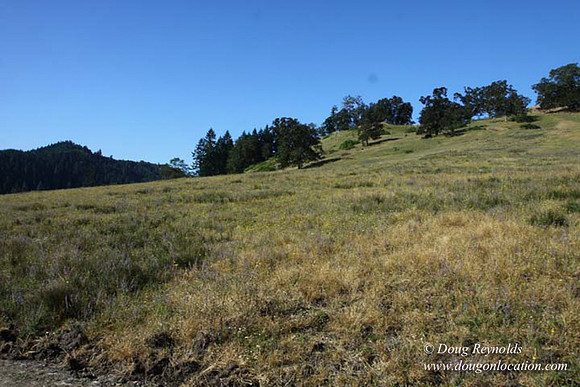 Ranch 14 Oregon