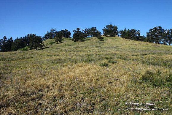 Ranch 14 Oregon