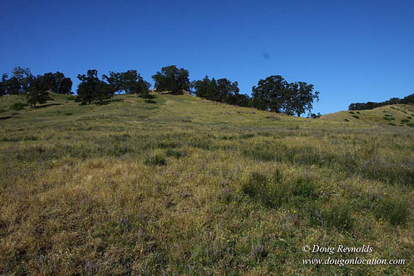 Ranch 14 Oregon