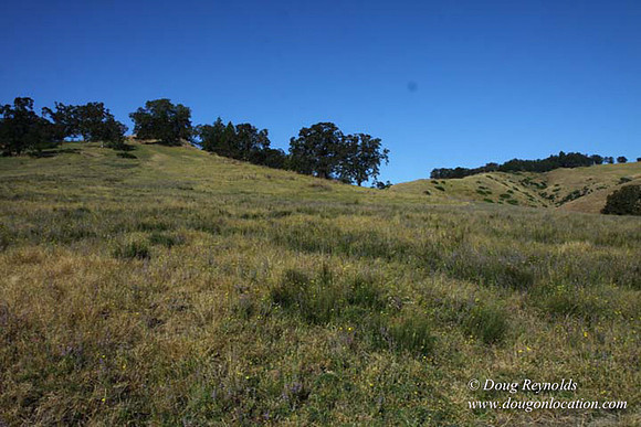 Ranch 14 Oregon