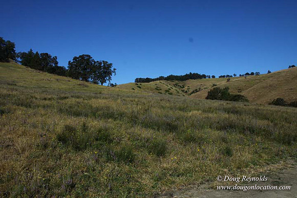 Ranch 14 Oregon