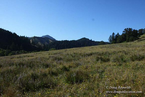 Ranch 14 Oregon