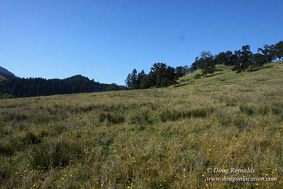 Ranch 14 Oregon