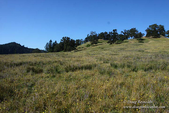 Ranch 14 Oregon