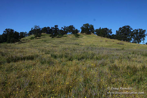 Ranch 14 Oregon