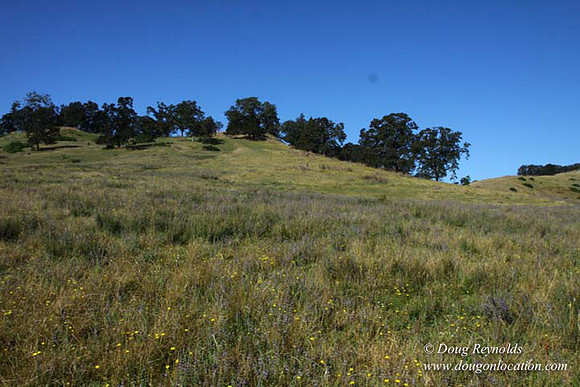 Ranch 14 Oregon