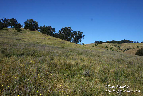 Ranch 14 Oregon
