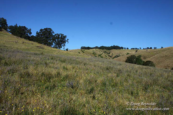 Ranch 14 Oregon