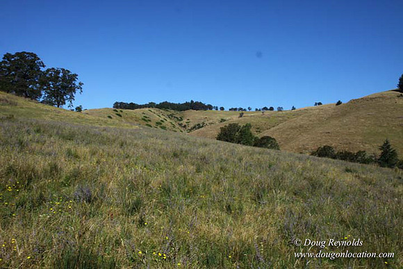 Ranch 14 Oregon
