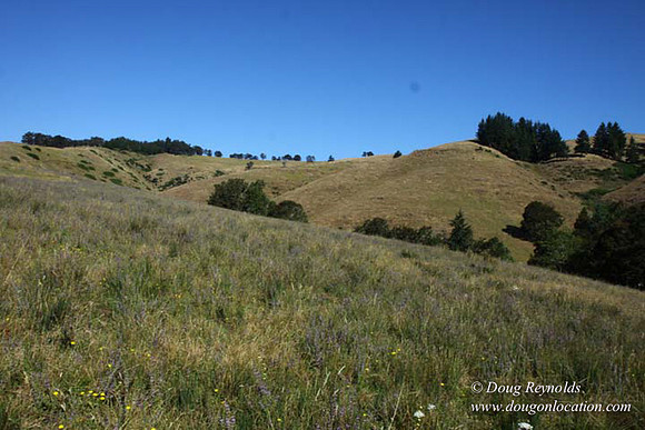Ranch 14 Oregon