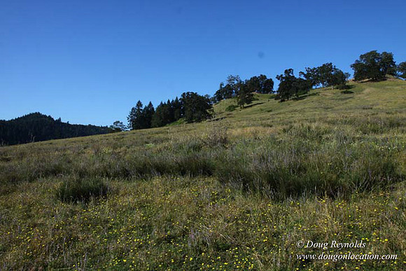 Ranch 14 Oregon