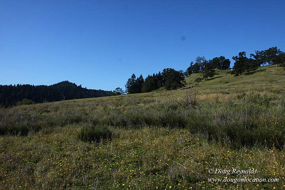 Ranch 14 Oregon