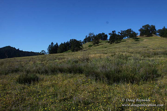 Ranch 14 Oregon